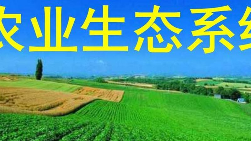 农资批发厂家直销平台：揭秘其背后的供应链优势**