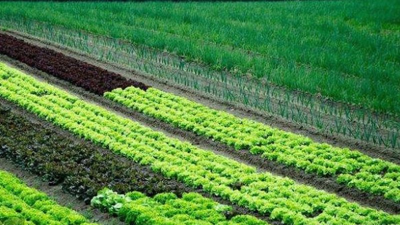 民宿定制设计公司哪家靠谱
