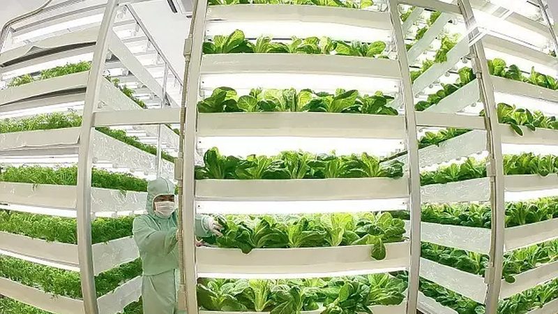 在功能需求方面，生鲜配送小程序应具备以下特点：