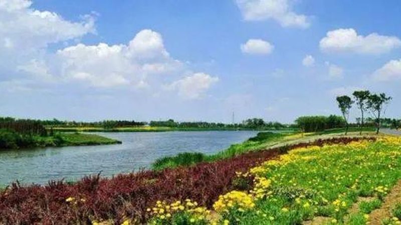 成都生鲜配送中心建设方案：构建高效冷链物流的关键要素
