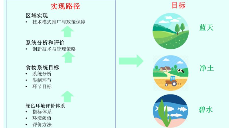 在进行绿色食品认证之前，首先需要满足一些基本条件。这些条件包括但不限于：