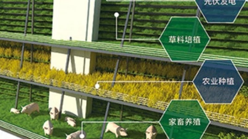 果蔬区域代理加盟流程解析：从入门到实操