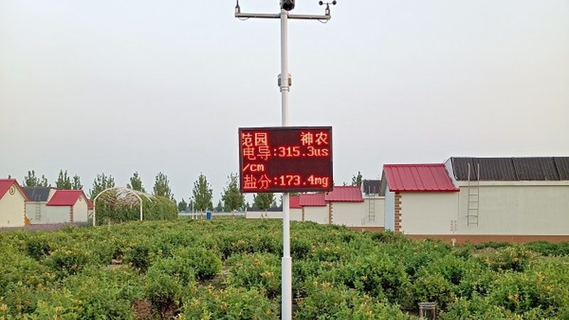 反季节水果种植加盟代理，揭秘其背后的生态奥秘**