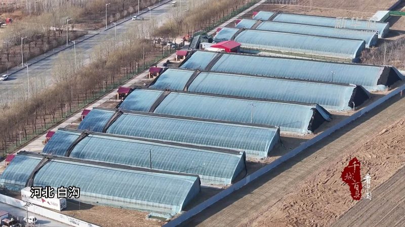 家庭农场自动化升级，如何选择合适设备？**
