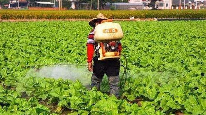 休闲农业园区运营模式探析：优势与挑战并存