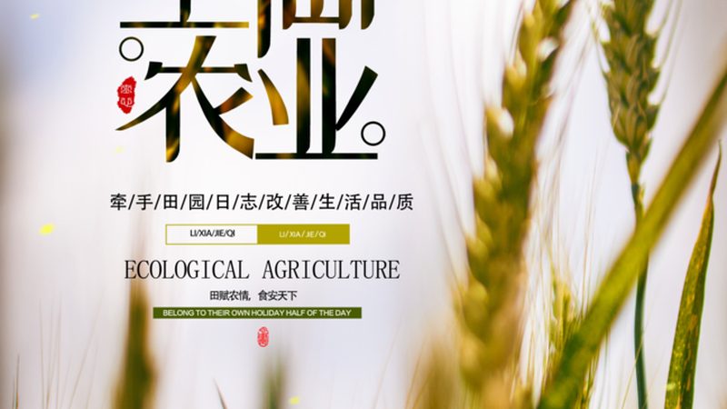 农产品配送系统：构建高效供应链的秘密武器