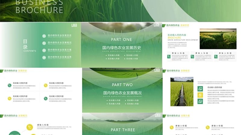 水果种植合作社加盟扶持政策：政策红利下的产业升级之路